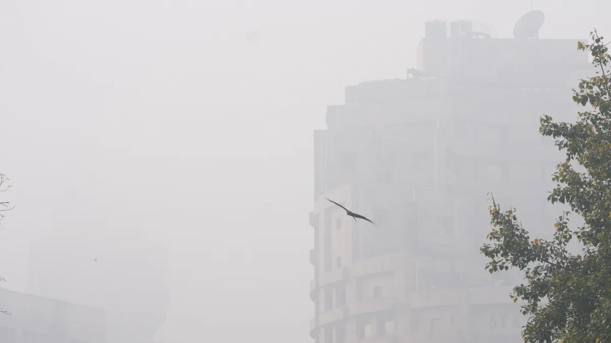 Representative Image- India TV Hindi