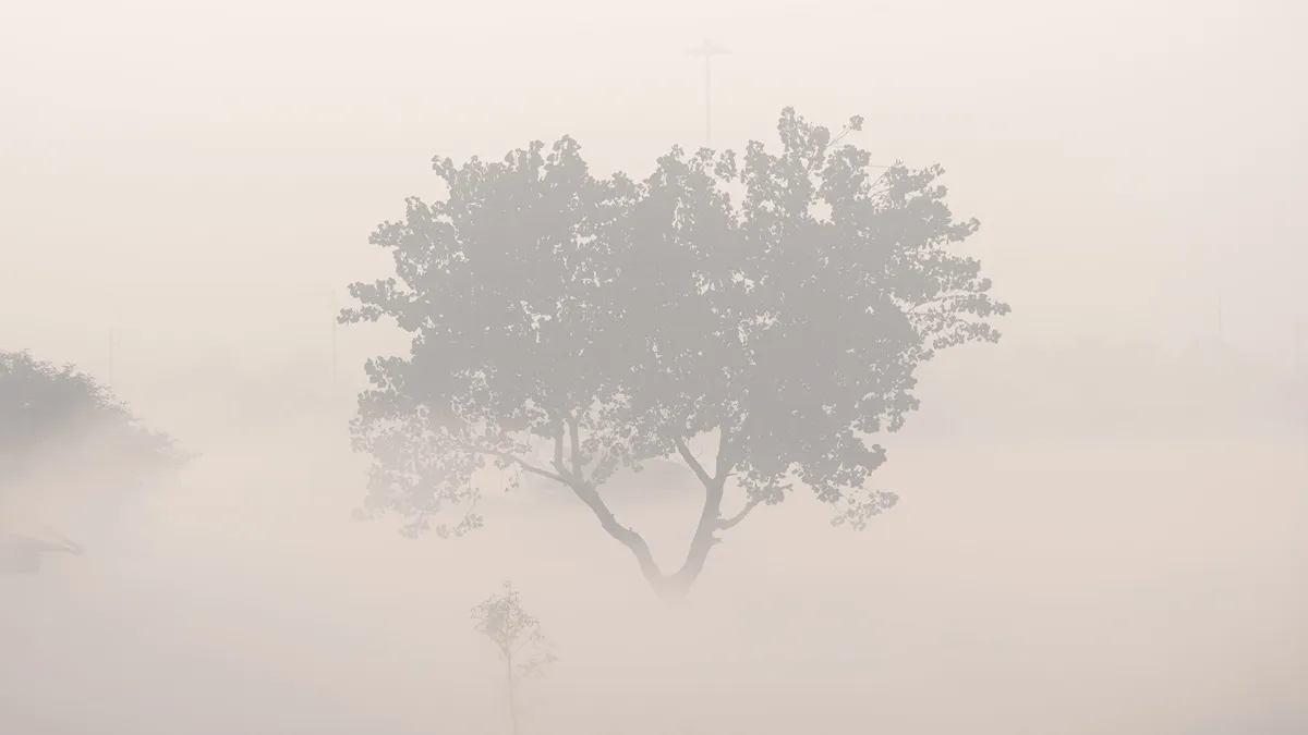 Dense Fog- India TV Hindi