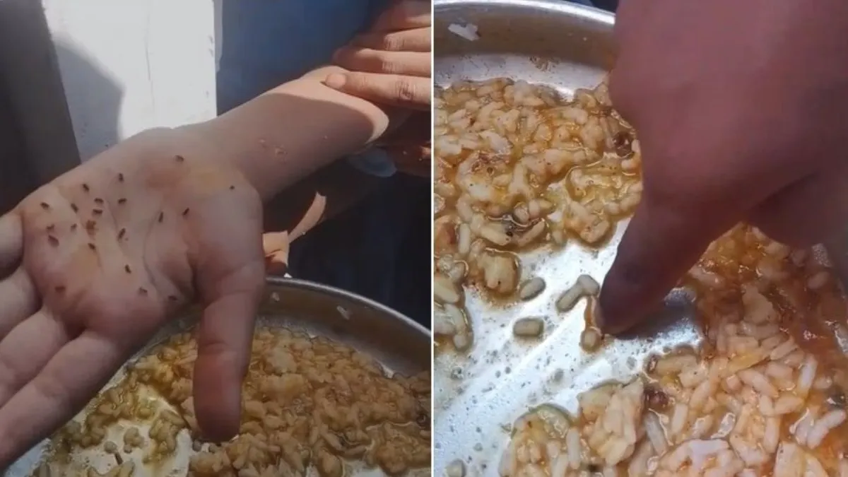 Karnataka koppal mid day meal insects- India TV Hindi