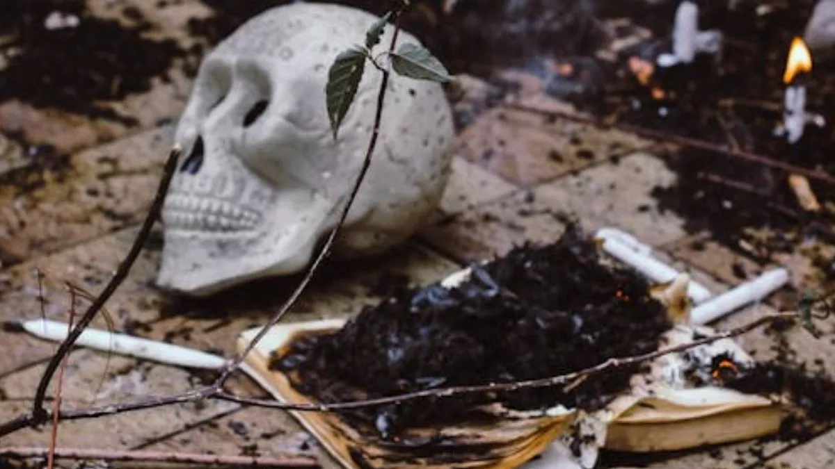 korba tantric ritual- India TV Hindi