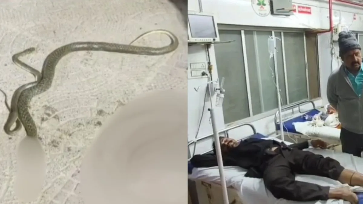 महोबा- इंडिया टीवी हिंदी