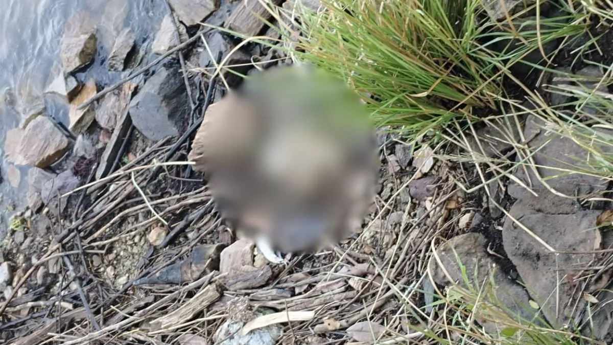 Malkangiri- India TV Hindi