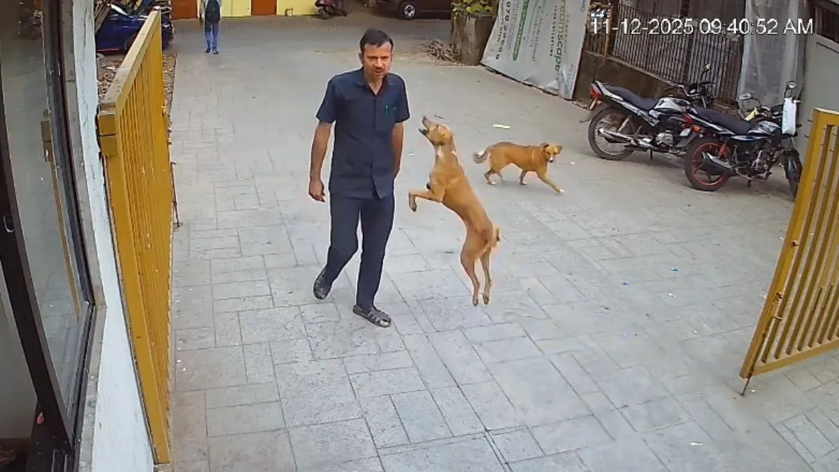 शख्स को काटता हुआ कुत्ता- India TV Hindi
