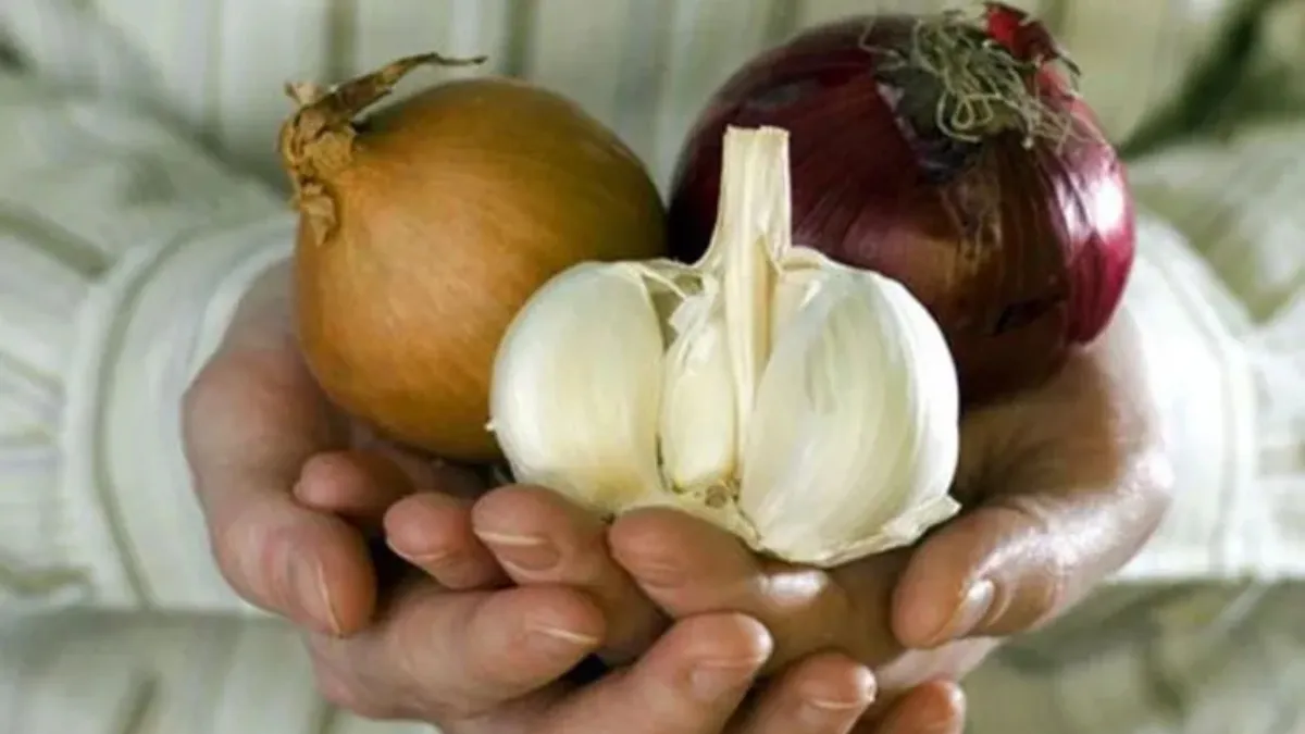 प्रतीकात्मक फोटो- India TV Hindi