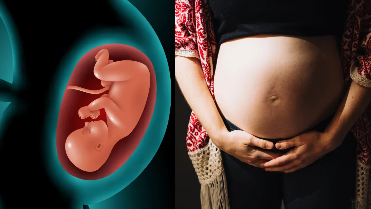 गर्भावस्था के दौरान प्रदूषण का असर- India TV Hindi