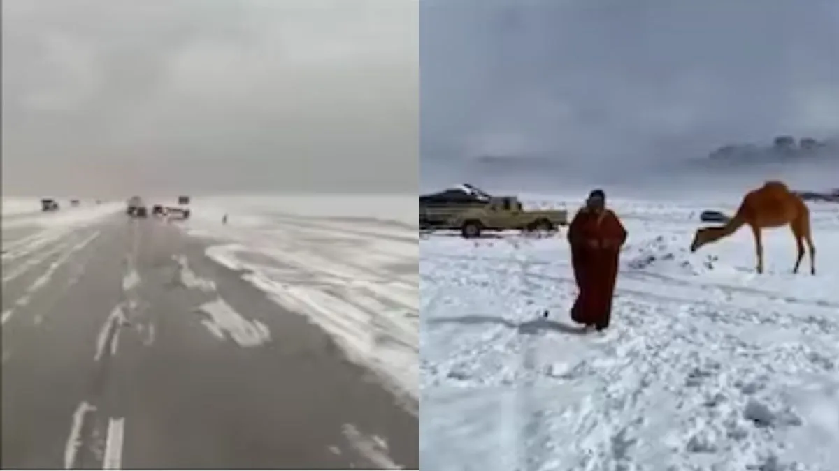Saudi Arabia Snowfall Video, Saudi Arabia snow, Saudi Arabia snowfall video, Saudi Arabia weather, S- India TV Hindi