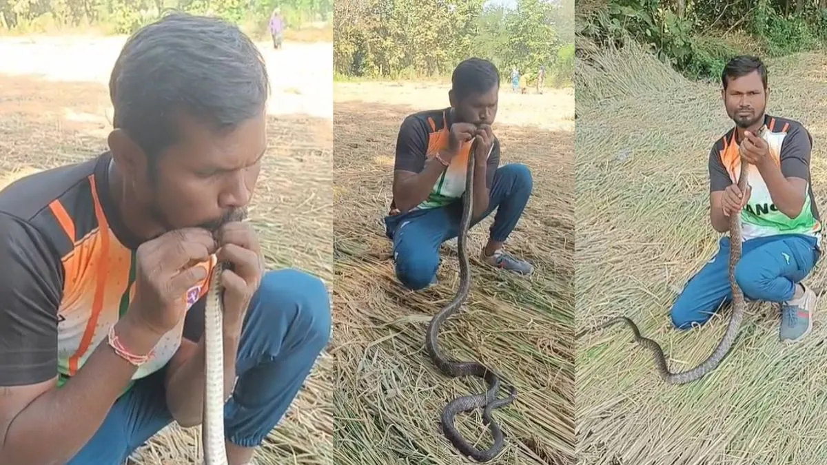 Snake- India TV Hindi