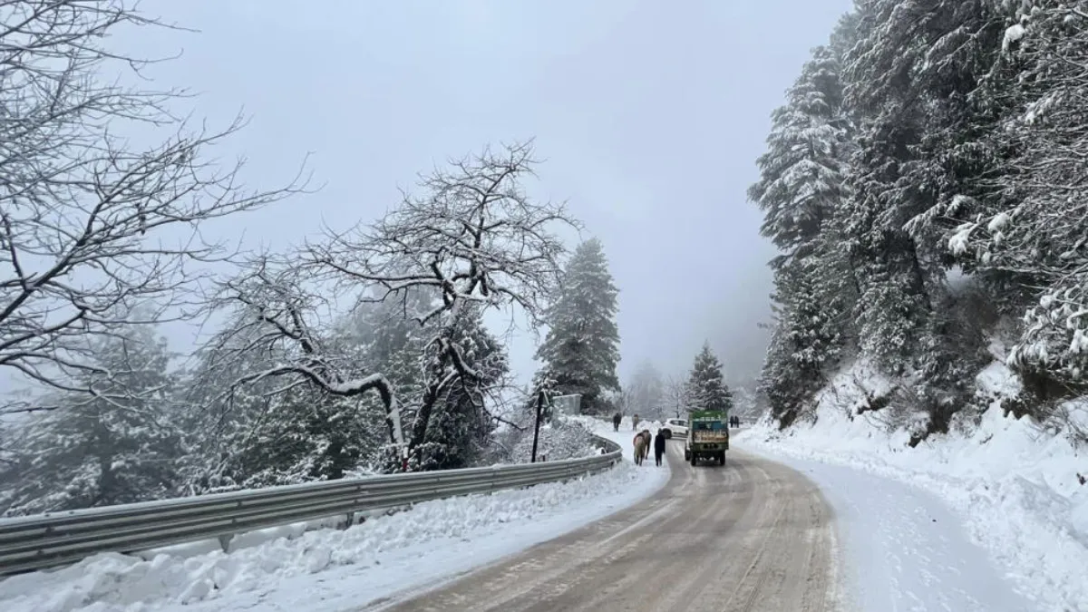 पहाड़ों पर बर्फबारी- India TV Hindi