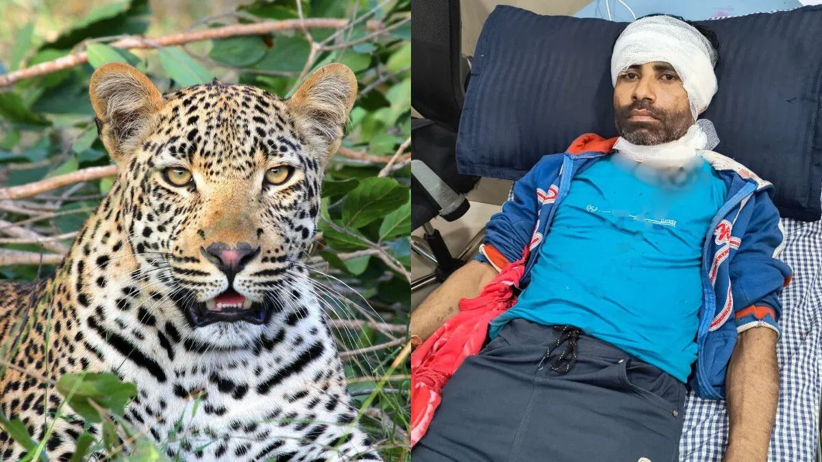 nagpur leopard attack- India TV Hindi