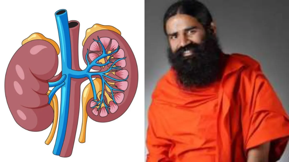 स्वामी रामदेव से जानें किडनी को बचाने के उपाय- India TV Hindi