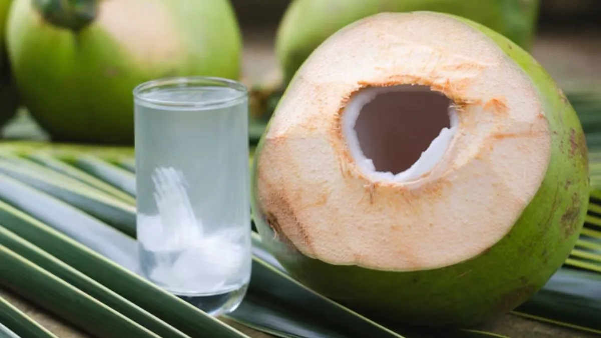 Coconut Water, Coconut ke fayde, Coconut Water Facts, Coconut News, Interesting facts about Coconut,- India TV Hindi