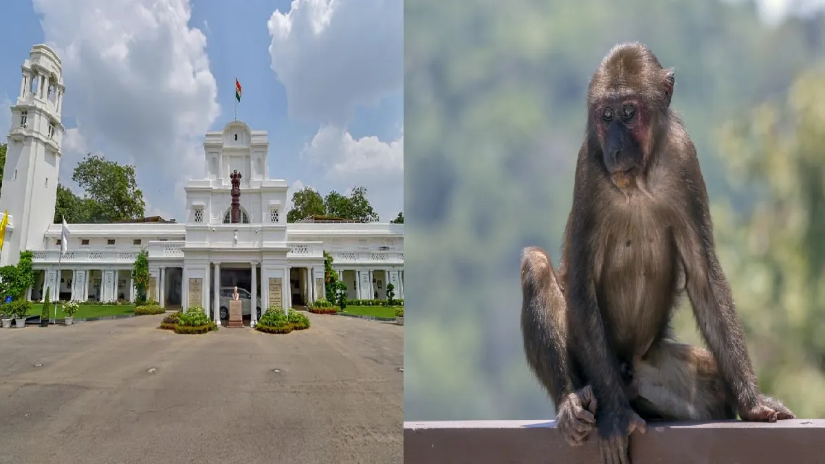 प्रतीकात्मक तस्वीर- इंडिया टीवी हिंदी