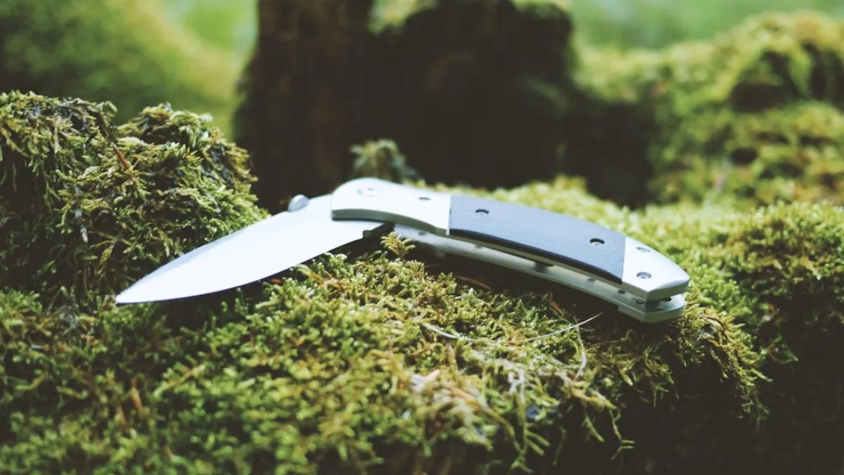 मुंबई चाकू हमला- इंडिया टीवी हिंदी