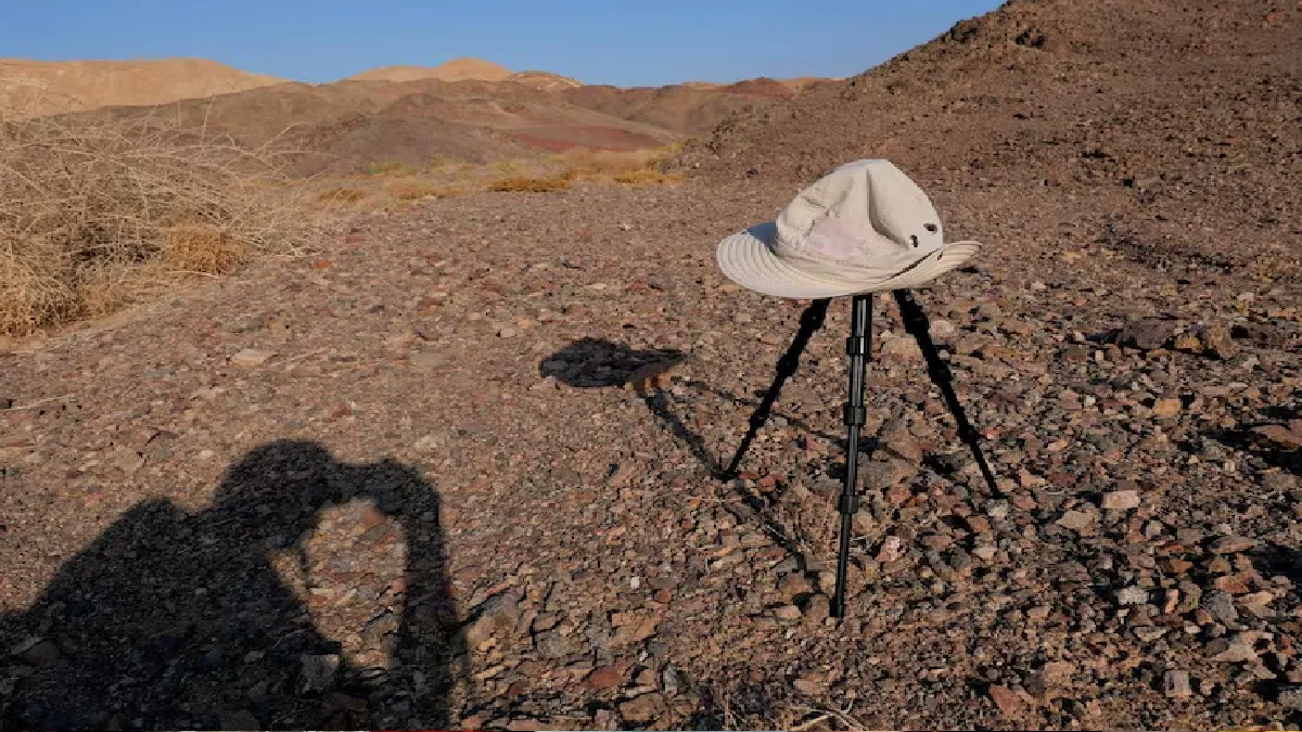 पाकिस्तान पुरातत्वविद् (प्रतीकात्मक तस्वीर)- इंडिया टीवी हिंदी