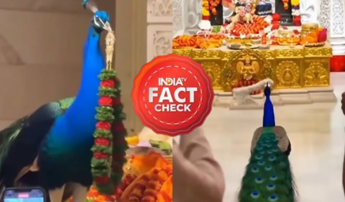 वायरल वीडियो स्क्रीनशॉट- इंडिया टीवी हिंदी