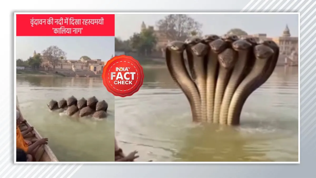 फैक्ट चेक।- India TV Hindi