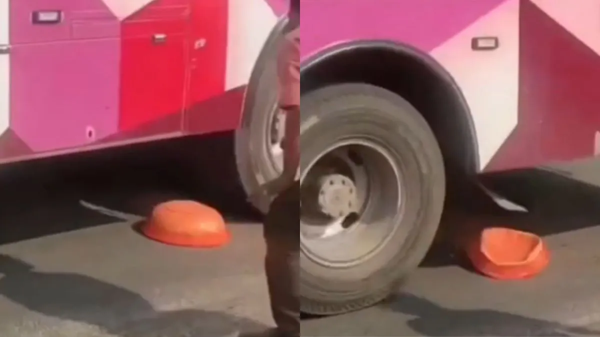 वायरल वीडियो का स्क्रीनशॉट- India TV Hindi