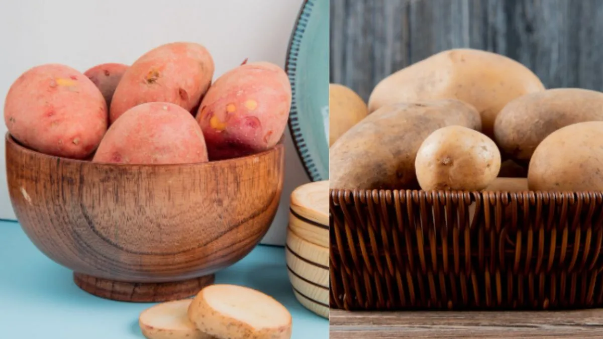 लाल या सफेद आलू? कौन सा खाना है फायदेमंद लाल या सफेद आलू? कौन सा खाना है फायदेमंद