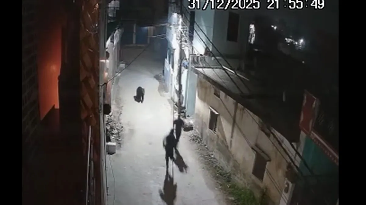 ऋषिकेश में भालू का आतंक, आज का वायरल वीडियो, ऋषिकेश में भालू, वायरल खबर, वायरल वीडियो - इंडिया टीवी हिंदी