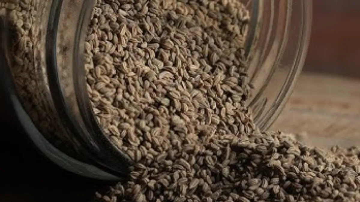 पेट के लिए फायदेमंद- India TV Hindi