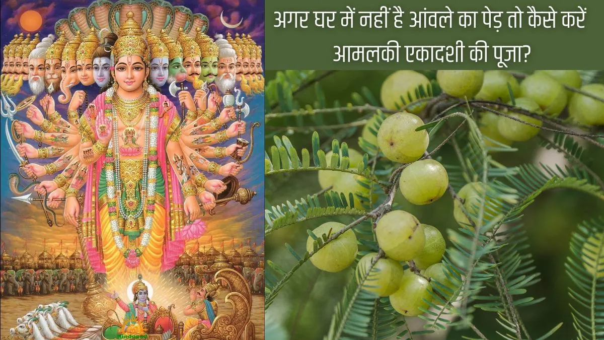 amalaki ekadashi- India TV Hindi