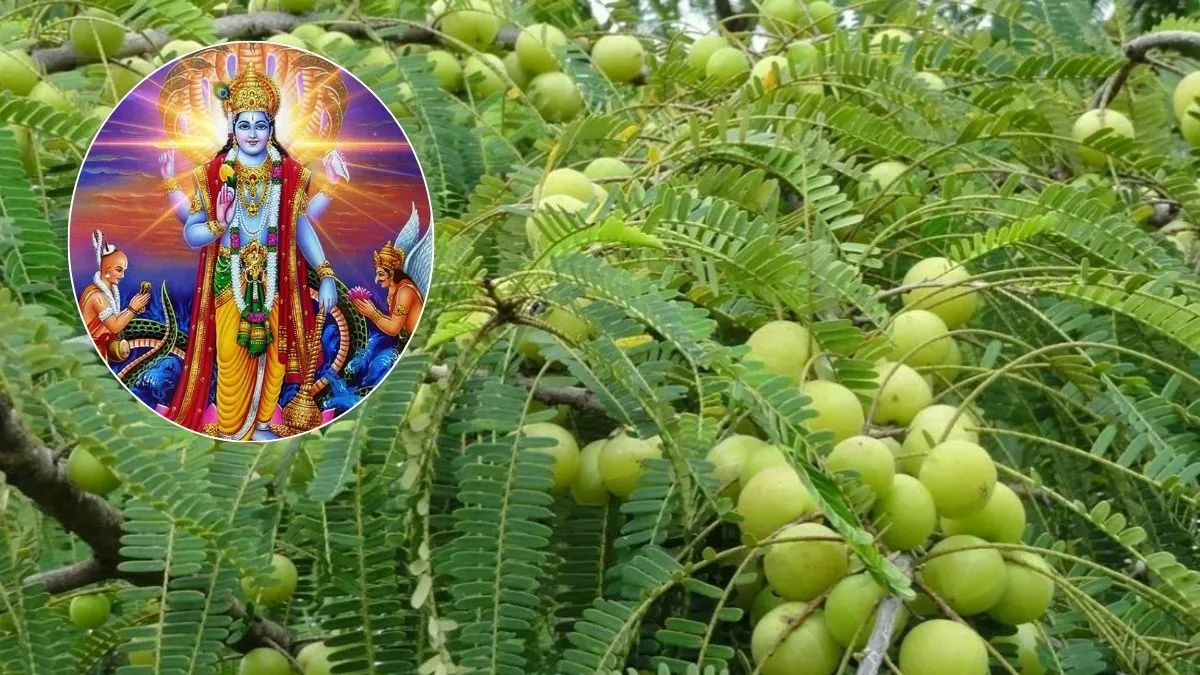 Amalaki Ekadashi 2026- India TV Hindi