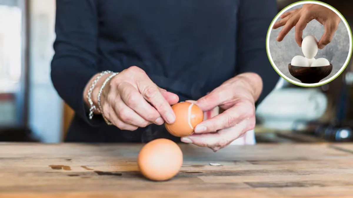 Why does boiled egg plunked, eggs and vegetarians, does egg is veg or nonveg, eggs benifits, egg ama- India TV Hindi