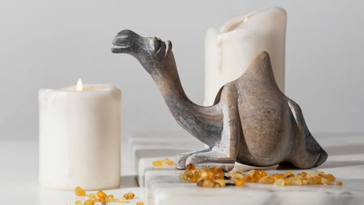 Camel Statue for Good Luck- India TV Hindi