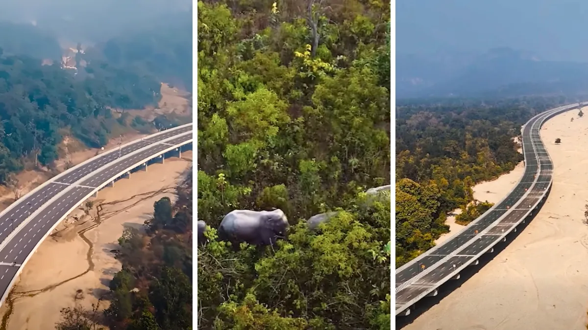 जंगल के बीच से गुजरेगा...- India TV Paisa