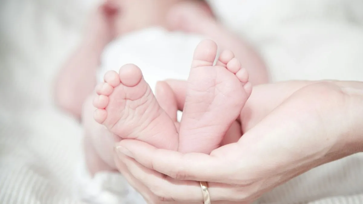 delhi rohini new born baby kidnapped- India TV Hindi