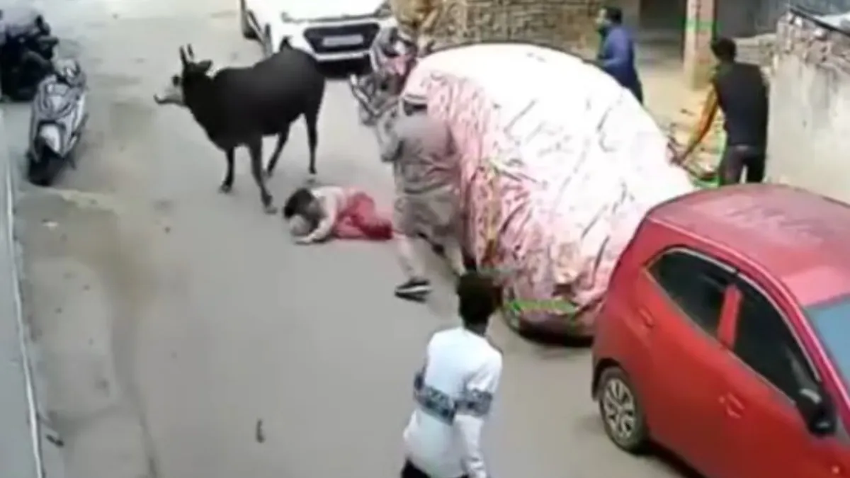 लड़की पर सांड का हमला- India TV Hindi