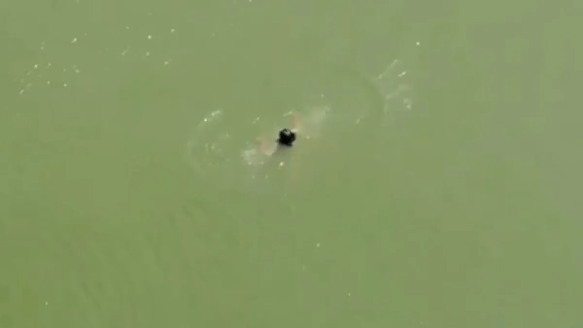 mau saryu river girl jumped- India TV Hindi