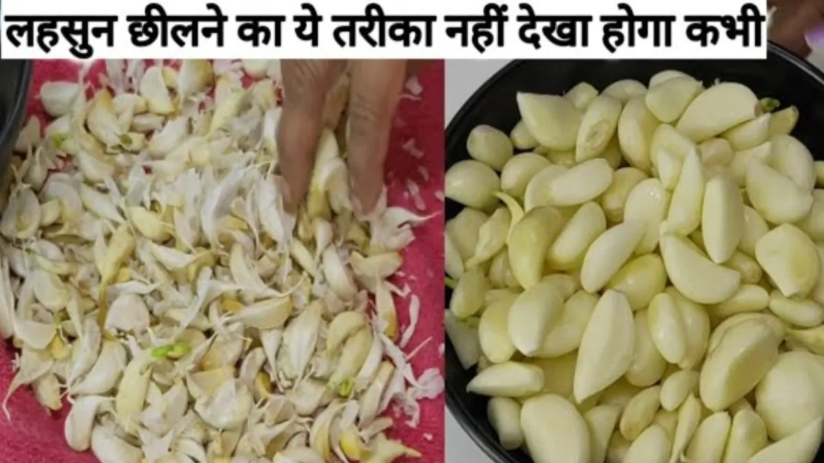 लहसुन- India TV Hindi