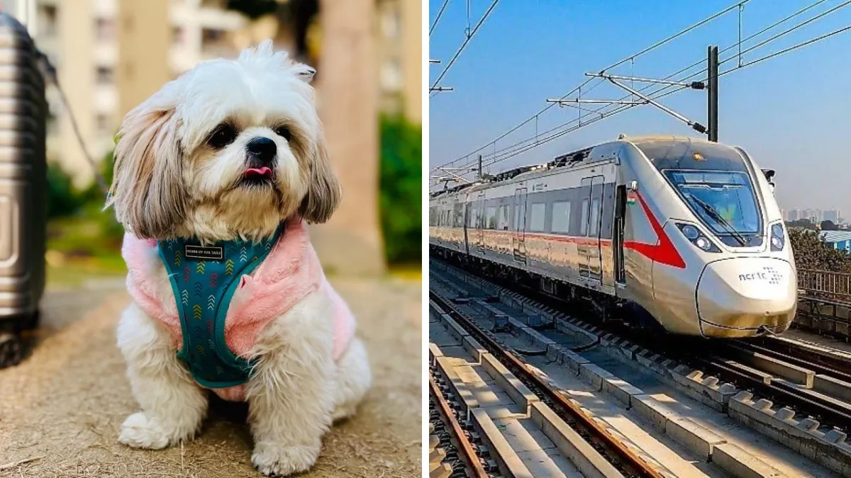 In Namo Bharat and Metro...- India TV Paisa