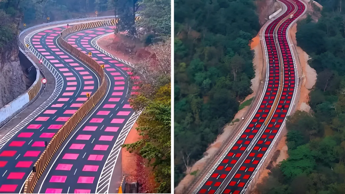 लाल पट्टियों वाली...- India TV Paisa