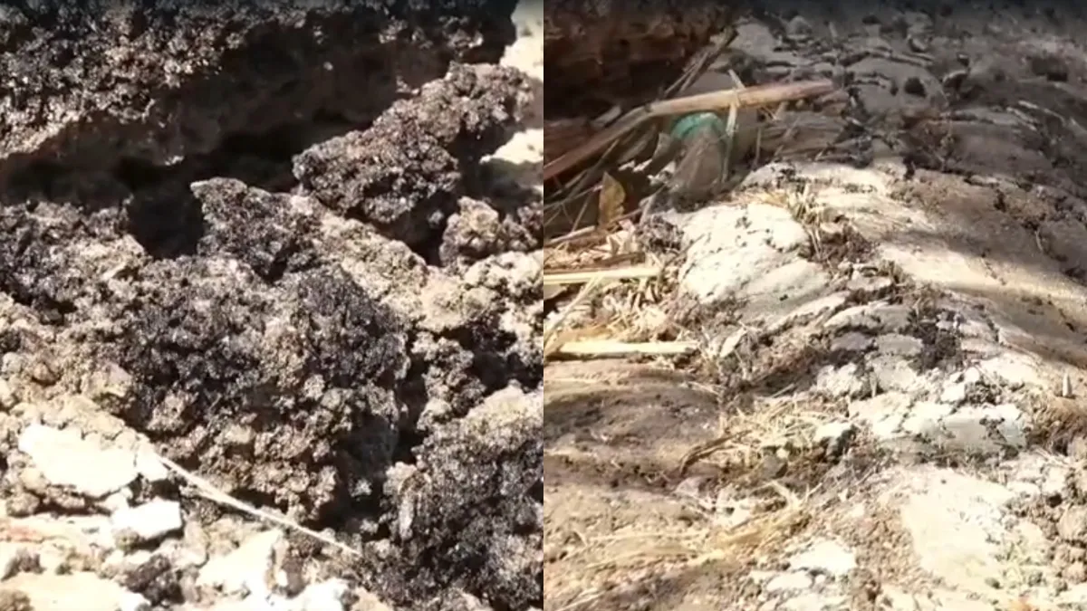 Road- India TV Hindi