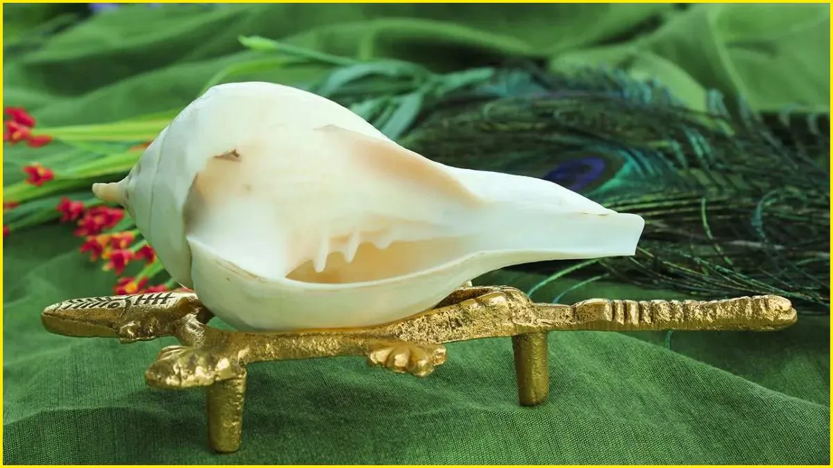 Shankh Vastu Tips- India TV Hindi