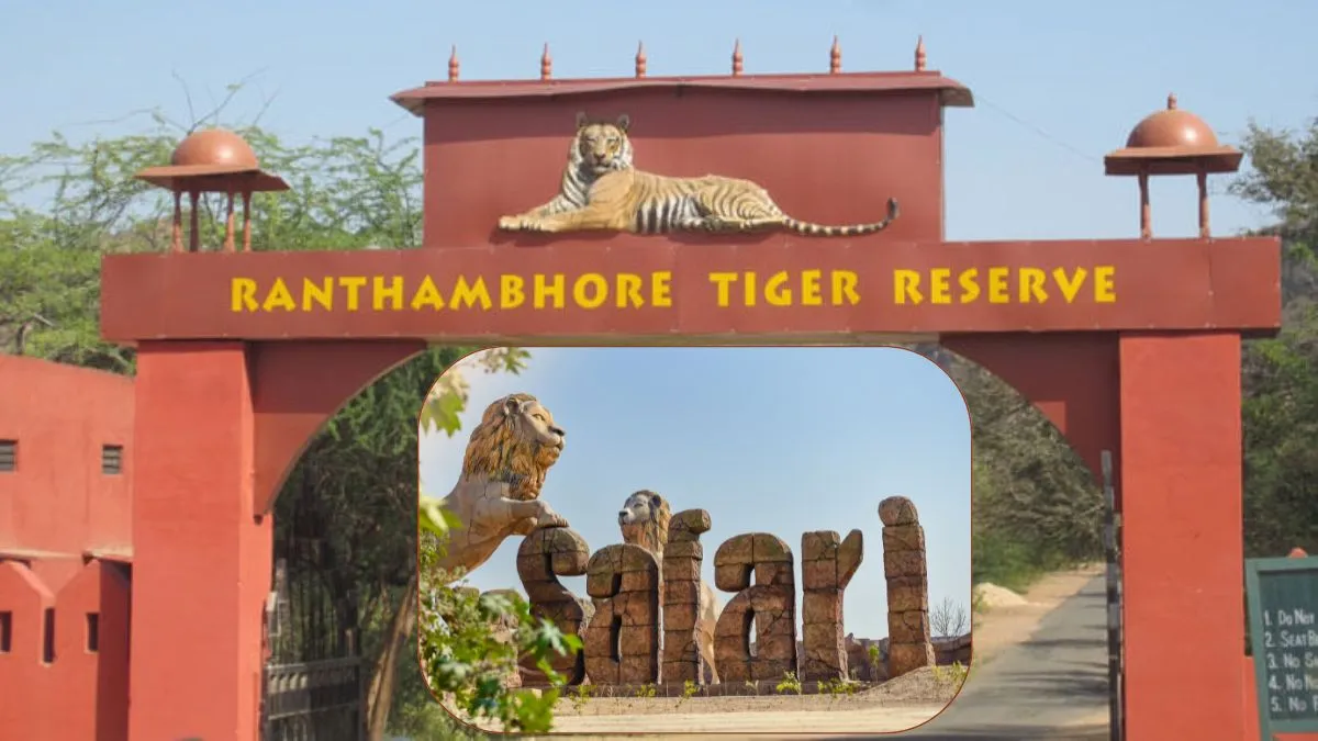 Tiger Reserve and Lion Safari, Tiger Reserve and Lion Safari Difference, Difference in Tiger Reserve- India TV Hindi