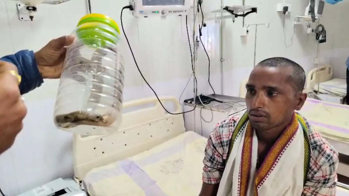 सांप लेकर अस्पताल पहुंचा शख्स। - India TV Hindi