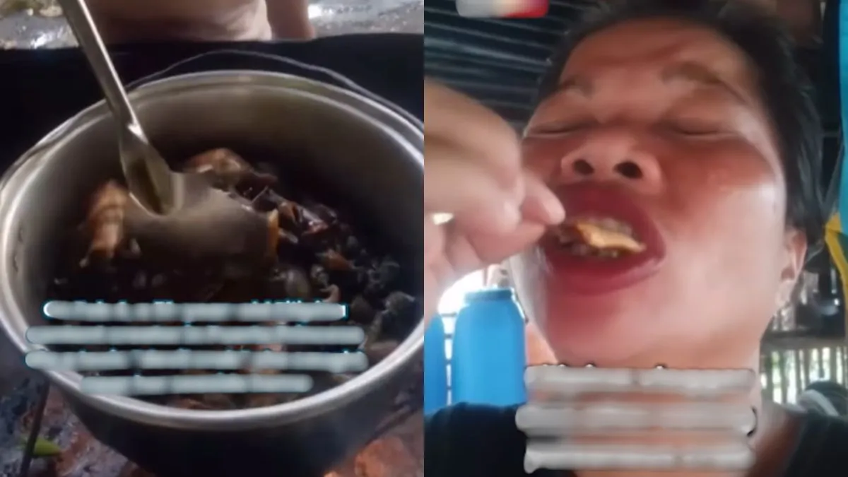 Devil Crab leads to woman death- India TV Hindi