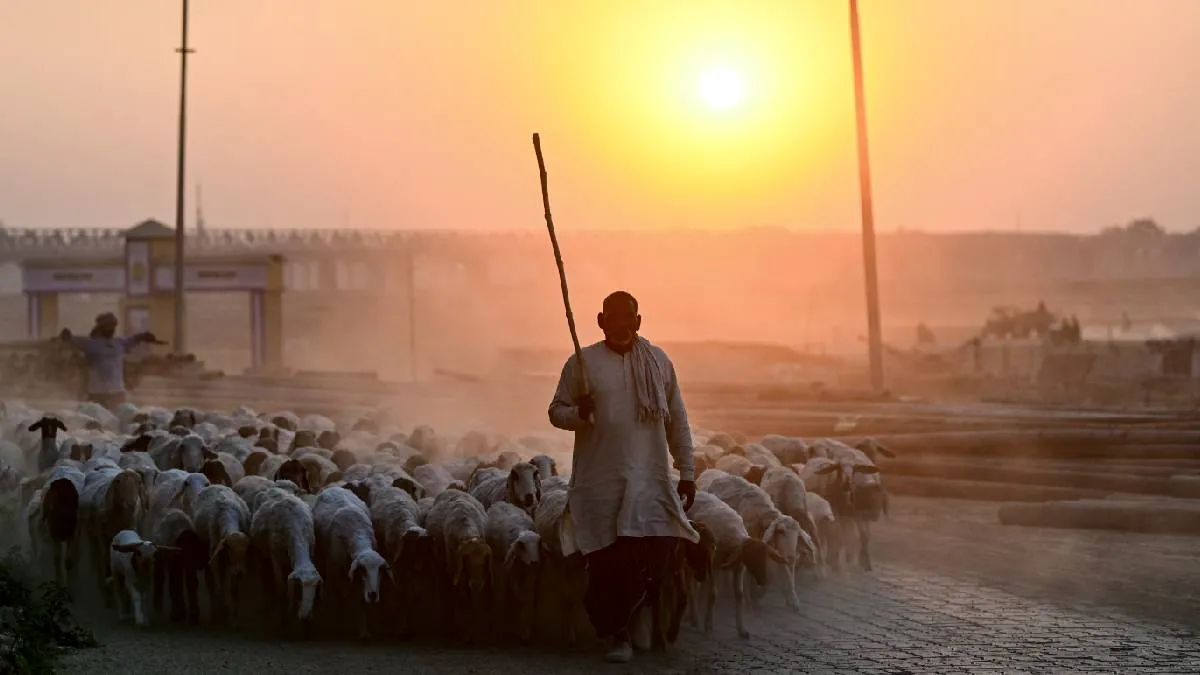 प्रयागराज की तस्वीर- India TV Hindi