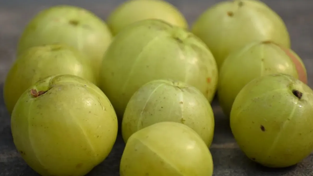 सेहत के लिए फायदेमंद आंवला- India TV Hindi