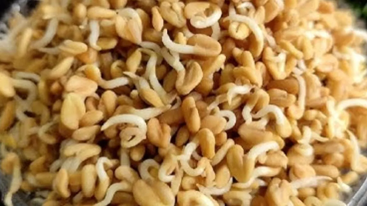 अंकुरित मेथी- India TV Hindi