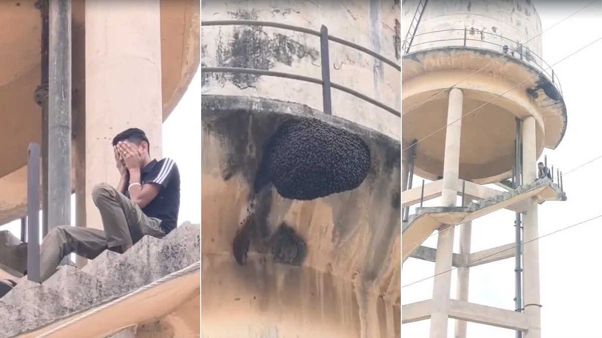 bee attack on youth- India TV Hindi