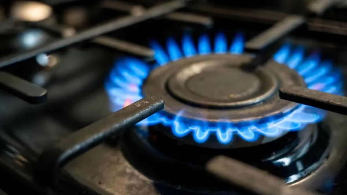 lpg, lpg cylinder, commercial lpg cylinder, ethanol, ethanol for cooking food, AIDA, FIPI- India TV Hindi