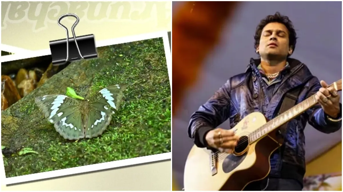 तितली की नई प्रजाती और सिंगर जुबीन गर्ग- India TV Hindi