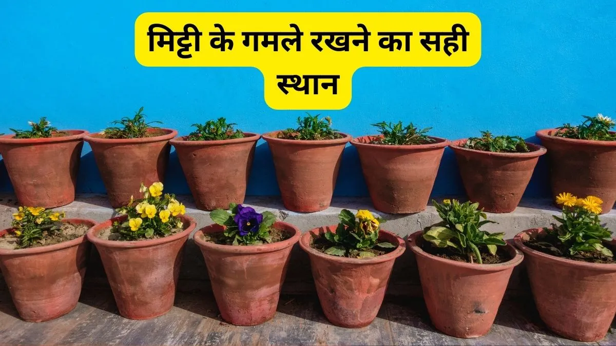 घर में चमकेगा ही, सकारात्मक ऊर्जा से भी भर जाएगा; जानिए मिट्टी की चीजों को सही जगह रखने के वास्तु टिप्स घर में चमकेगा ही, सकारात्मक ऊर्जा से भी भर जाएगा; जानिए मिट्टी की चीजों को सही जगह रखने के वास्तु टिप्स