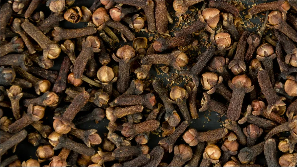 क्या गर्मी में लौंग खा सकते हैं? - India TV Hindi