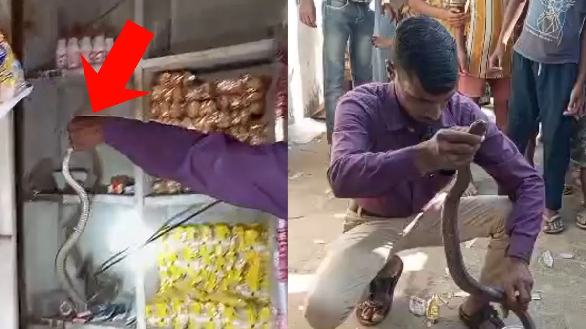 Barabanki cobra video- India TV Hindi