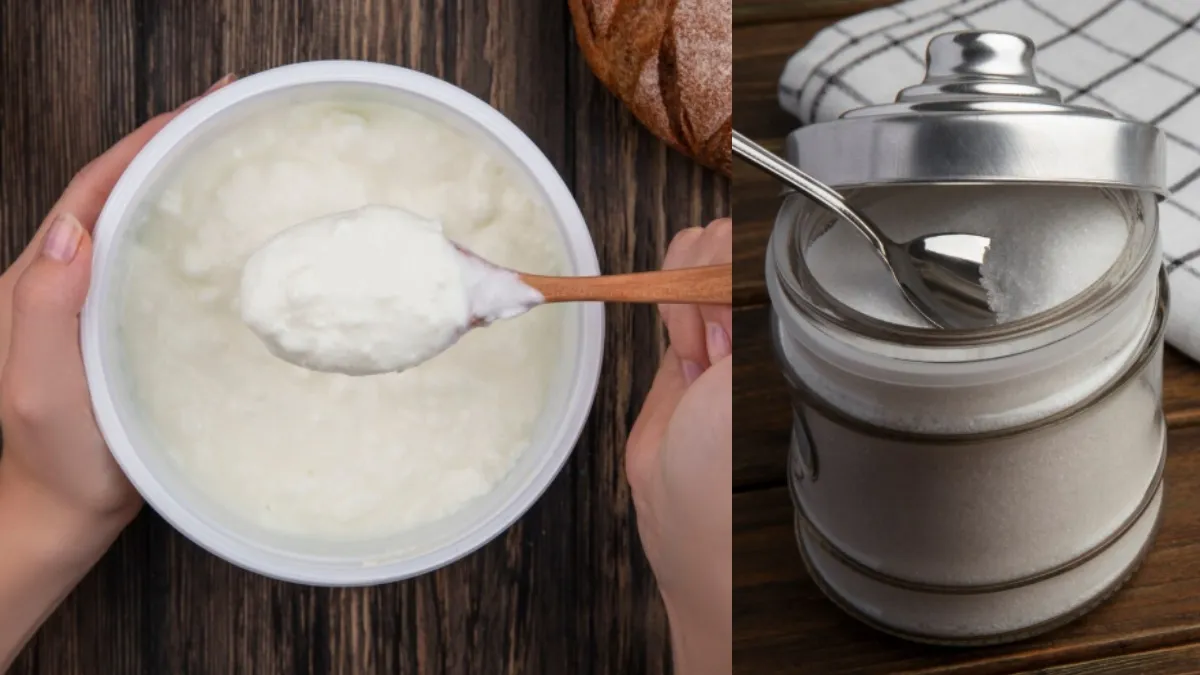 दही के साथ क्या मिलाएं- India TV Hindi